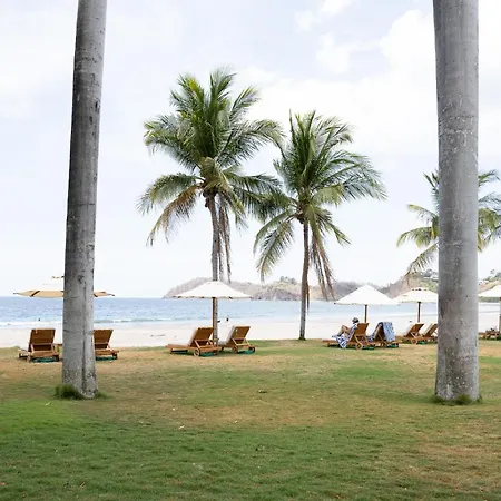 Palms 20 Luxury Oceanfront Villa-2